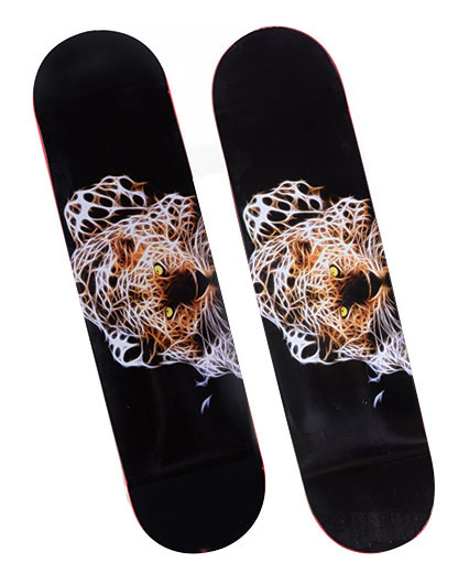 Double maple skateboard(HJ902˫棩)